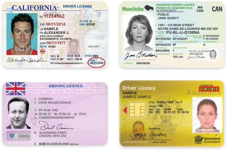 illinois driving license international students