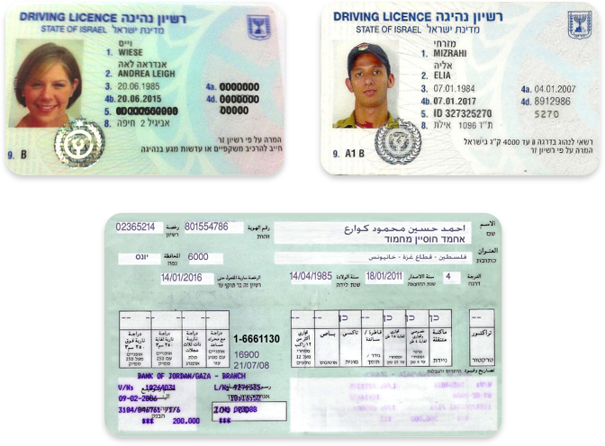English To Hebrew International Driver S License